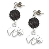 NCAA Iowa Hawkeyes LogoArt Ovation Earrings