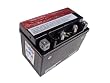 YTX9-BS High Performance Maintenance Free 12v Battery