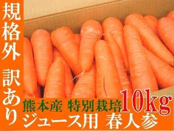 自然な甘みが美味しい！熊本県産 特別栽培『規格外 訳あり』お買い得！【ジュース用 春人参】約10ｋｇ（箱入り）