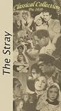 Review   / The Stray (Przybleda)
