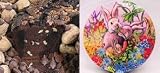 All Star Chocolate 10 Coffee Cake (Easter Gift Tin)