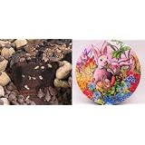 All Star Chocolate 10" Coffee Cake Easter Gift Tin by Boba Tea Direct