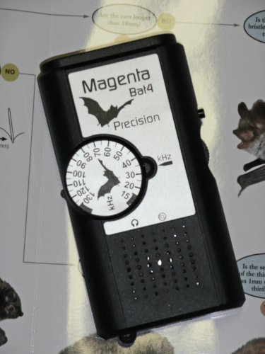 Magenta Bat 4 Bat Detector, Listener, Locator