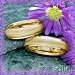 14K Women's 6MM Satin & Polished Wedding Band
