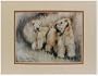 Soft Coated Wheaten Matted Print