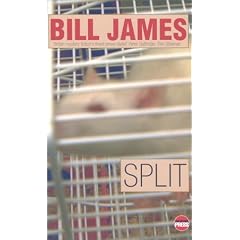 Split (Simon Abelard Mystery)