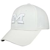 Zephyr Michigan Wolverines White Silver Lining Fitted Hat