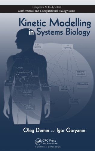 Kinetic Modelling in Systems Biology (Chapman & Hall/CRC Mathematical and Computational Biology)