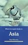 Where to Watch Birds in Asia