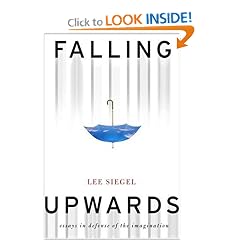 Falling upwards: essays in defense of the imagination