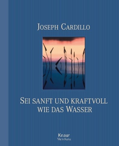 Sei sanft und kraftvoll wie das Wasser. Der Weg des Kampfkünstlers