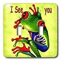 Kids Stuff - Frog I see You - Light Switch Covers - double toggle switch