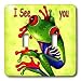 Kids Stuff - Frog I see You - Light Switch Covers - double toggle switch