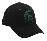 Michigan State Spartans Adult One-Fit Hat