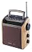 Sangean PR-D2 AM/FM Stereo Digital Q-Radio (Gray)