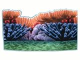 Disney Pixar Finding Nemo Pre-Pasted Large Coral Accent Border
