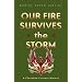 Our Fire Survives the Storm: A Cherokee Literary History (Indigenous Americas)