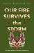 Books : Our Fire Survives the Storm: A Cherokee Literary History (Indigenous Americas)