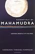 Essentials of Mahamudra: Looking Directly at the Mind