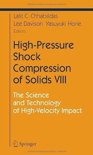High-Pressure Shock Compression of Solids VIII: v. 8 (Shock Wave and High Pressure Phenomena)