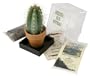 Grow your own Saguaro Cactus Kit - Incubator - Cactus Seeds - Southwest Arizona Southwestern Gift Idea - Seed Propagation - Desert Souvenir