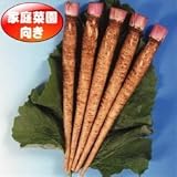 【メール便配送】　国華園　野菜たね　ゴボウ　てがる牛蒡　PVP　1袋(5ml入)