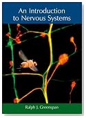 An Introduction to Nervous Systems