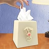 Sneezing Tissue Box Holder