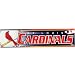 St Louis Cardinals - Logo & Name Bumper Sticker MLB Pro Baseball