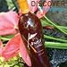 4 BOTTLES OF XANGO JUICE DIETARY SUPPLEMENT