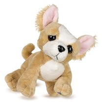 Lil Kinz Chihuahua