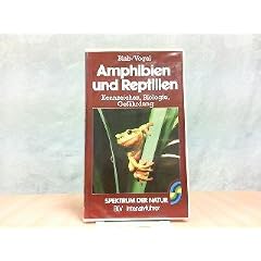 Amphibien und Reptilien. Kennzeichen, Biologie, Gef�hrdung