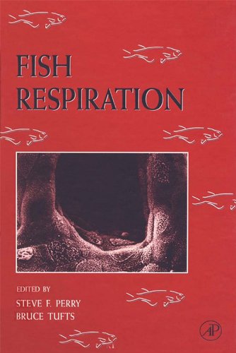Fish Respiration: Fish Respiration v. 17 (Fish Physiology)