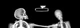 Xray rear window graphic