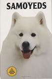 Samoyed