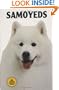 Samoyed