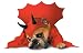 Zelda Devil Dog Halloween Costume (Large)