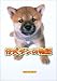 仔犬ダンの物語でAmazonアフィリエイトツール