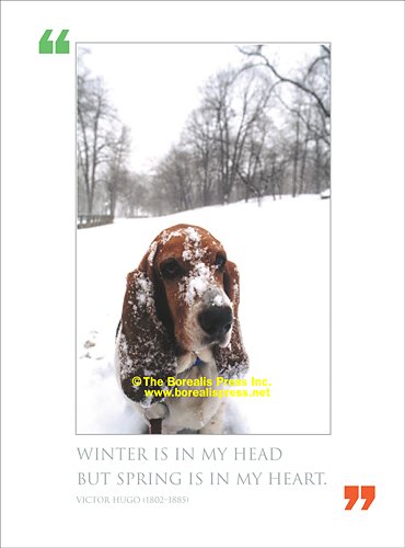Holiday Card- Winter Is in My Head but Spring Is in My Heart. On Sale