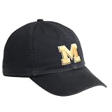 Michigan Franchise Fitted Hat