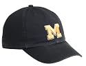 Michigan Franchise Fitted Hat