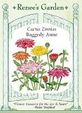 Cactus Zinnia Seeds - Raggedy Ann