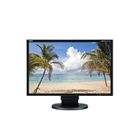 NEC EA222WME-BK 22-Inch LCD Monitor (Black)
