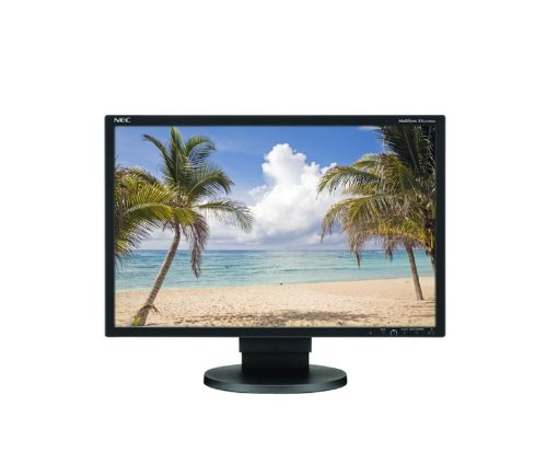 NEC EA222WME-BK 22-Inch LCD Monitor (Black)