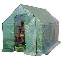 STC 6 x 10 Garden Greenhouse