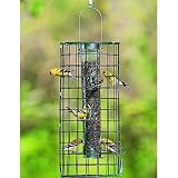 Bird Feeder Create-A-Haven