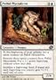 Pallid Mycoderm Foil