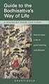 Guide to the Bodhisattva's Way of Life: A Buddhist Poem for Today