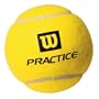 Wilson Practice Tennis Balls (Case)