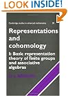 Representations and Cohomology: Volume 1, Basic Representation Theory of Finite Groups and Associative Algebras (Cambridge Studies in Advanced Mathematics)